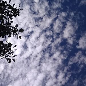 Meet your Posher, Jaime